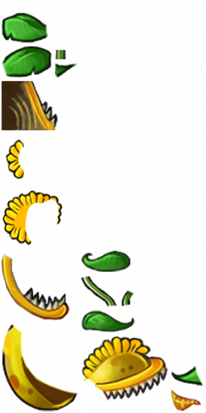 阳光大嘴花-拆解图-旧.png