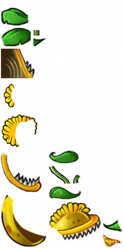 阳光大嘴花-拆解图-旧.png