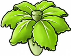 卷心菜保护伞-立绘.png