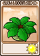 保护伞花盆-卡牌.png