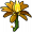 火红莲-立绘.png