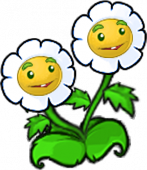 双子金盏花-立绘.png