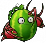 西瓜坚果-寄生虫.png