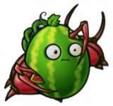 西瓜坚果-寄生虫.png