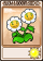 双子金盏花-卡牌.png