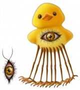 大眼小黄鸭.png