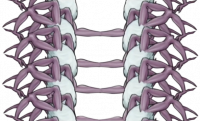 “雪兽”群.png