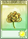 清蕊秋菊-卡牌.png