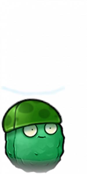 海蘑菇坚果-拆解图.png
