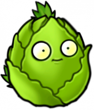 卷心菜坚果-立绘.png