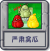 严肃窝瓜.png