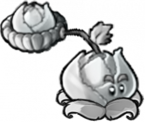 银卷心菜投手-立绘.png
