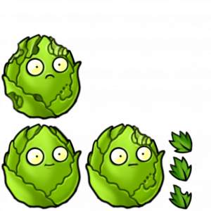 卷心菜坚果-拆解图.png
