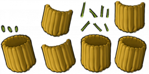 三线玉米炮手-拆解图.png