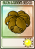 坚果保护伞