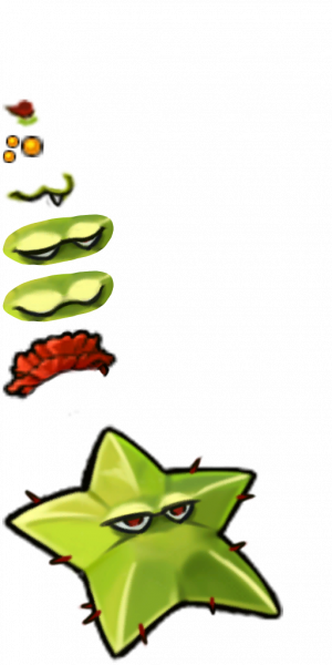 仙人掌杨桃-拆解图.png