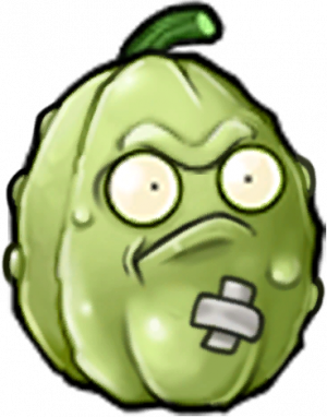 窝瓜坚果-立绘1.png