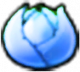 月亮神卷心菜子弹-立绘.png