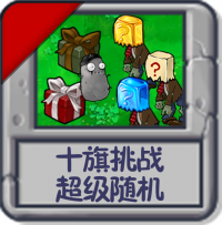 十旗挑战 超级随机.png