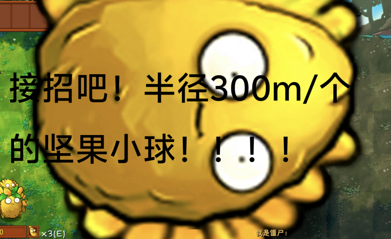 文件:坚果小球.png