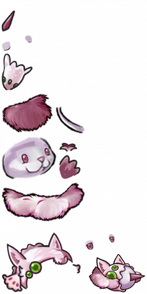 魔法猫尾草-拆解图.png