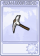 铁镐-卡牌.png
