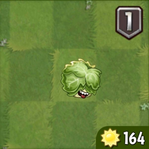 文件:奶油生菜 4f6efeb66ed7ec797c1555c5504546a3.jpg