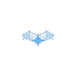 璨然霜雪.png