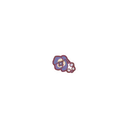 暖风盈香.png