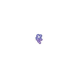 花影遐想.png