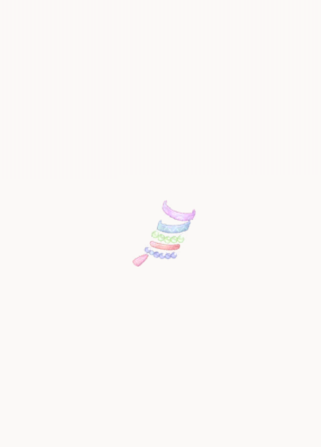 大·斑斓贝壳.png