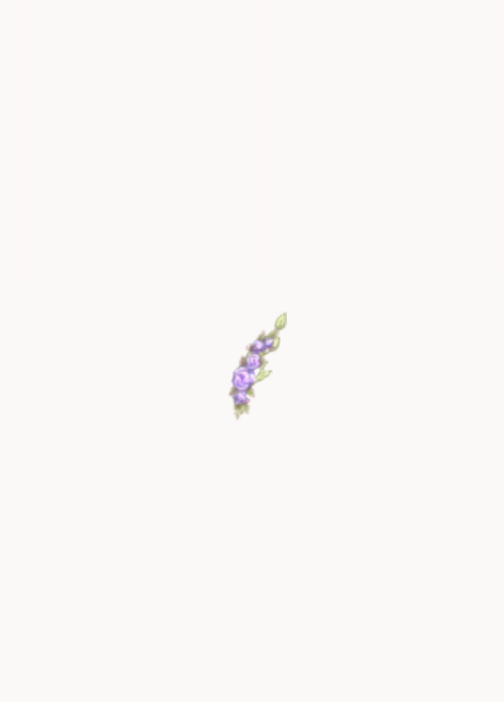 大·紫苑.png