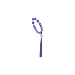 琉璃沁.png