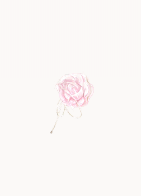 大·水晶蔷薇·梦.png