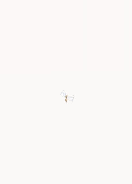 大·极简派.png