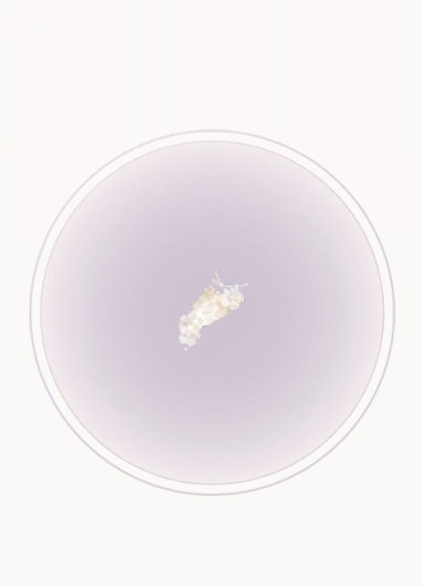 大·记忆留香·雾.png