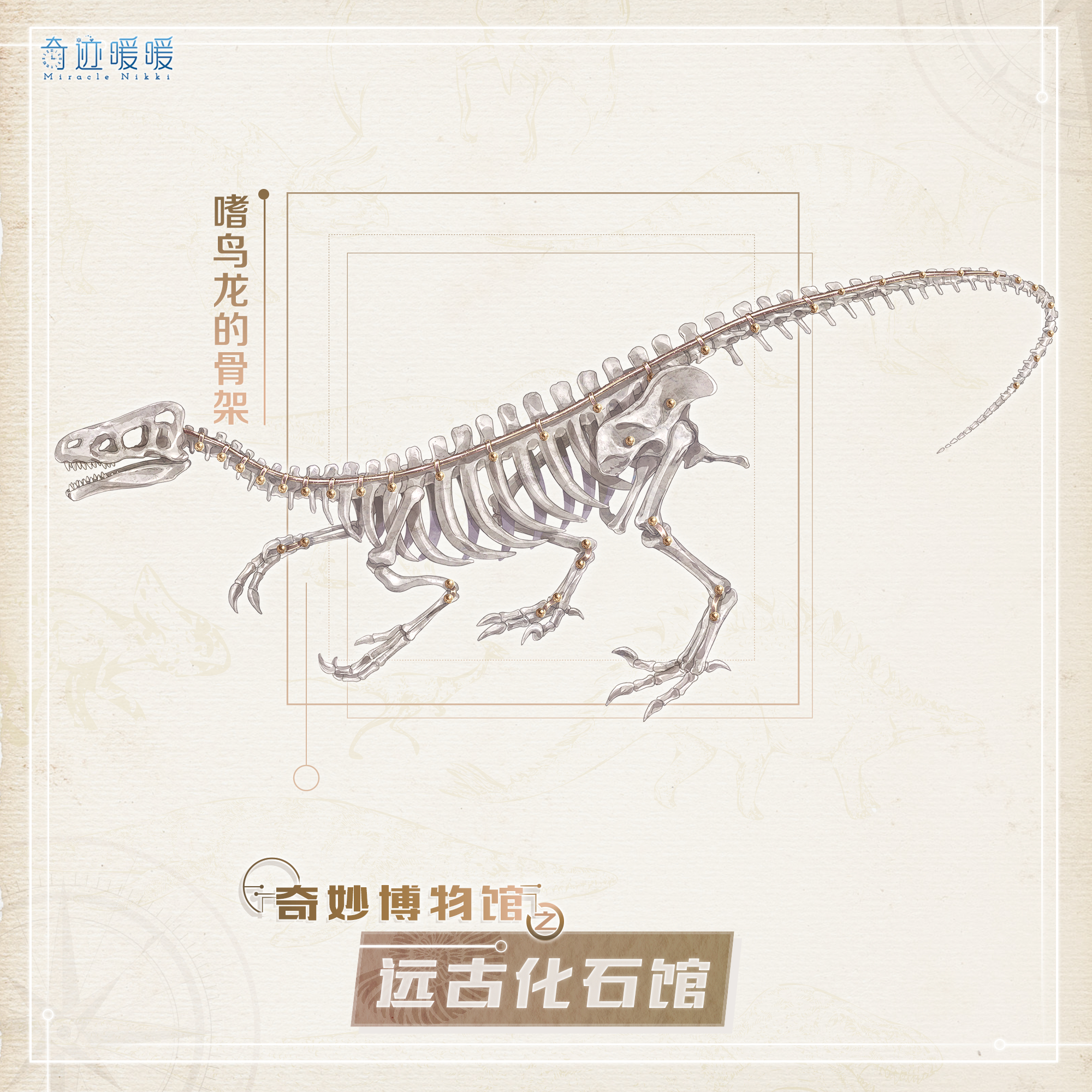 远古化石馆-海报3.png