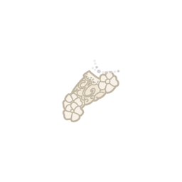 记忆留香·雾.png