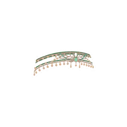 千星预言.png
