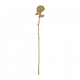 金蔷薇手杖.png