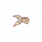 藏匿诗篇.png