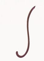 金福猴尾大图