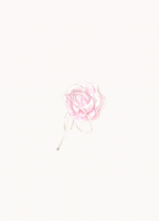 水晶蔷薇·梦大图