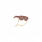 眩光主场.png