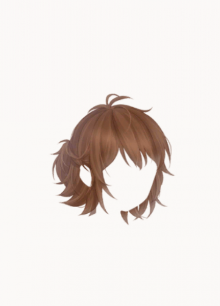 文件:大·蓬乱短发.png