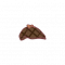 解密者.png