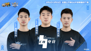 全国公开赛-S6-宠你.png
