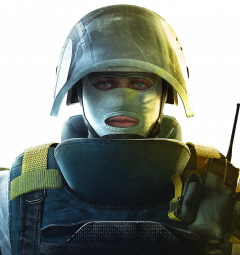 ROOK