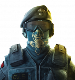ALIBI