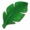 棕榈叶.png